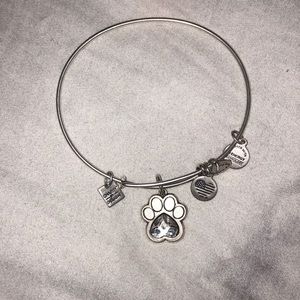 alex & ani